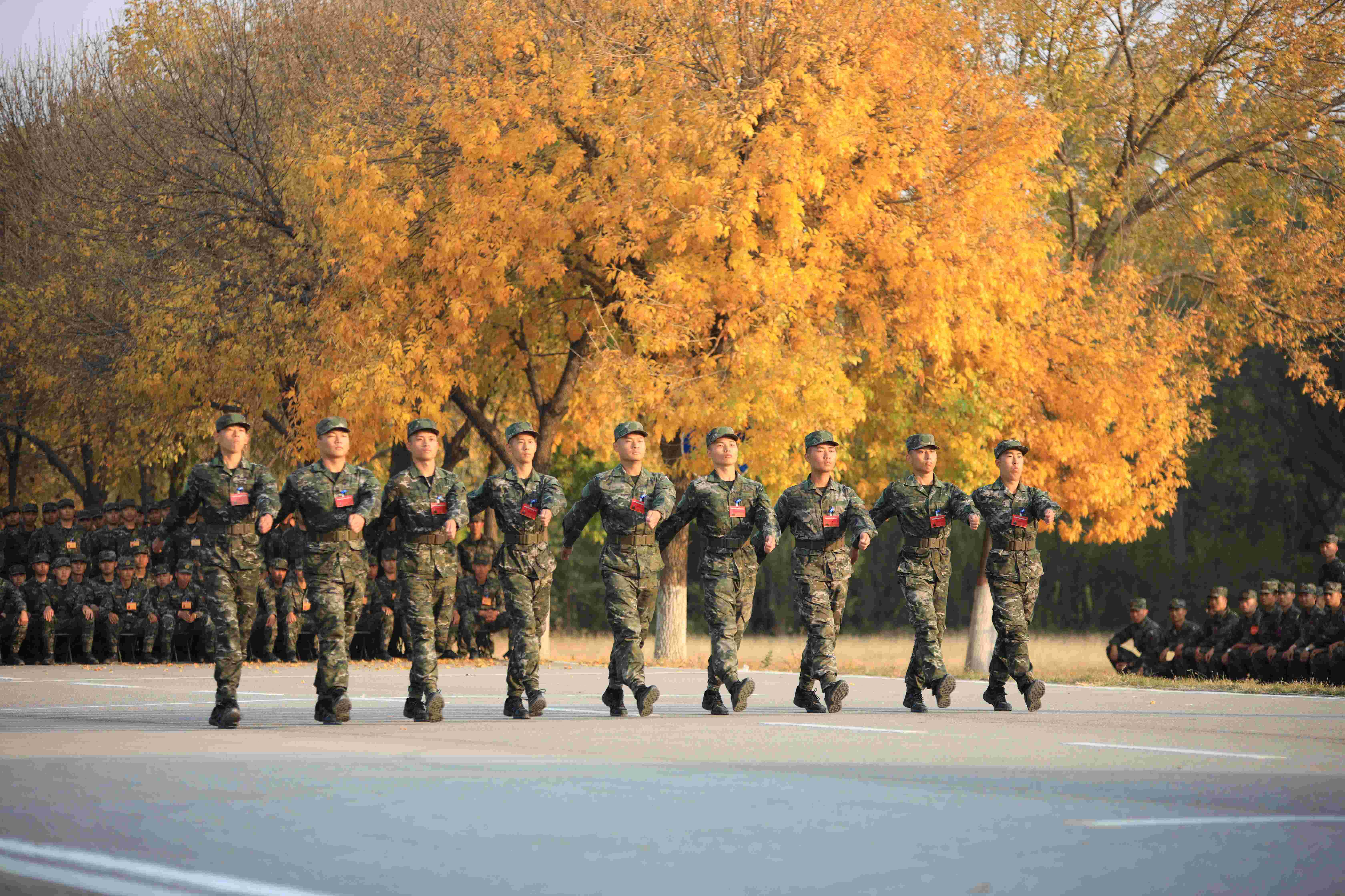 天津武警部队图片图片